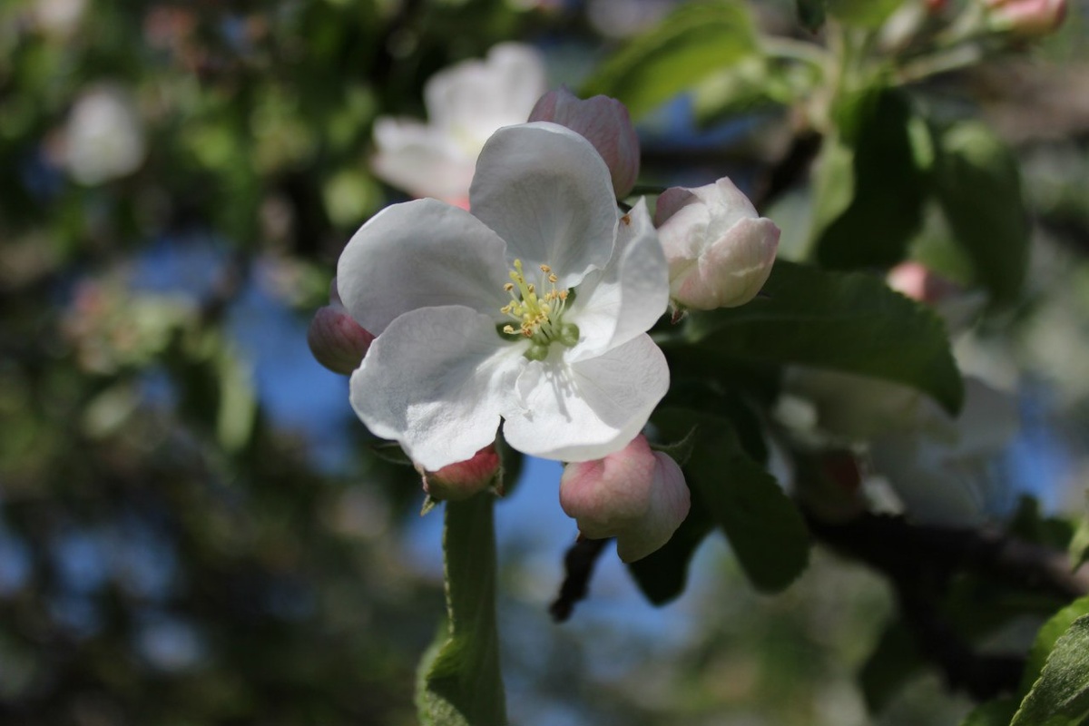Фото из личного архива.