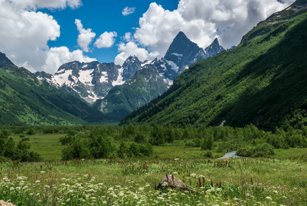 Фото черкесск кавказская