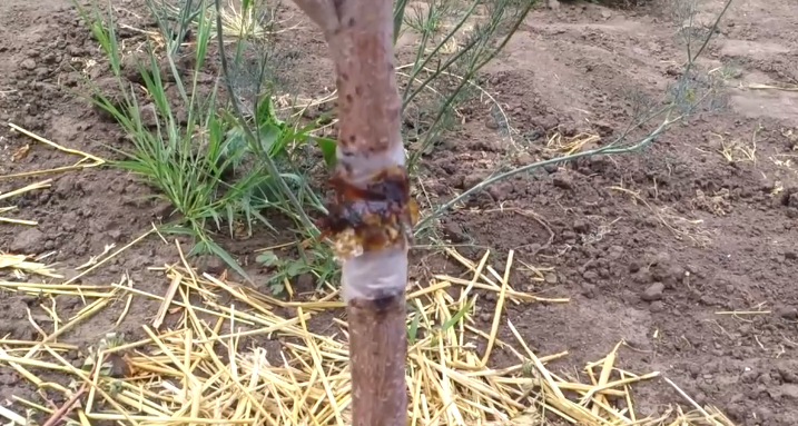 Выглядит это все примерно так