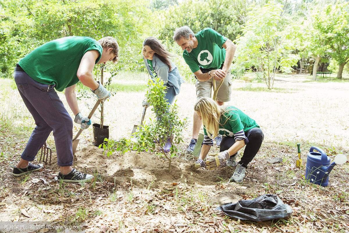 Passiv - Пассивный залог в немецком языке