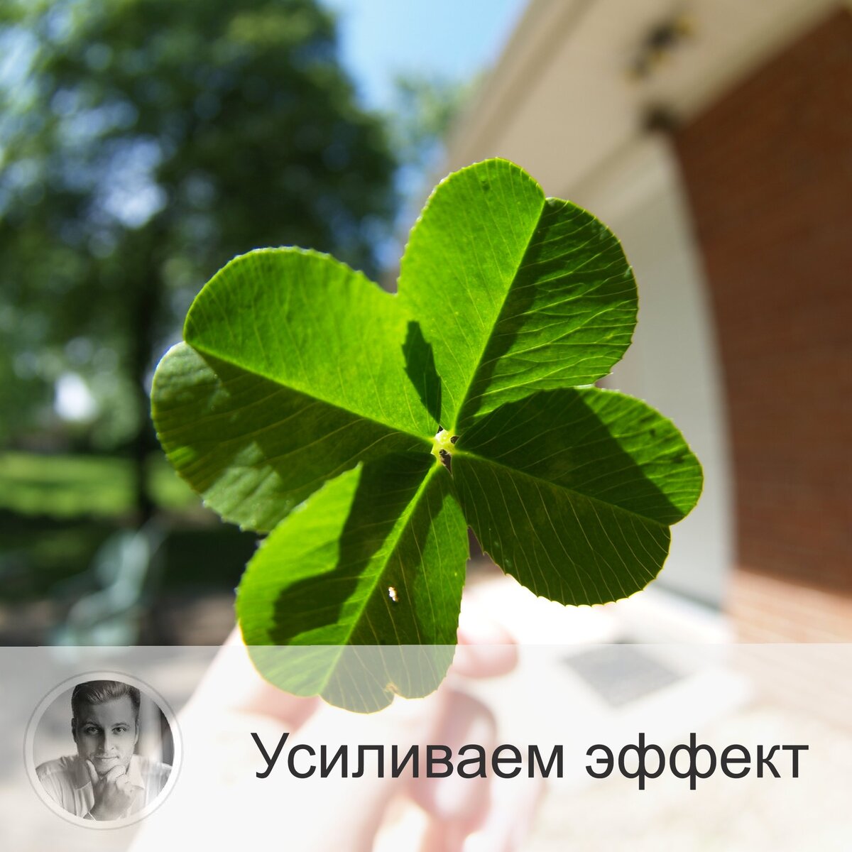 Подписывайтесь на наш канал, друзья!
Помимо слов (фраз), которые я дал в предыдущей публикации, можно еще усилить эффект получения удачи и везения, просто перестроив своё поведение. 
Есть определённые правила, которые настроят на нужный лад, поднимут вибрации и добавят позитива в жизнь. И вот они:

🔵1.    Не желать плохого. Ни себе, ни другим. Фразы типа «провалиться мне», «хоть ты тресни» и т.д. крайне неблагоприятны.
🔵2.    Не нужно обсуждать других и себя. Хватит анализировать поступки других, оценивать чьё-то поведение. Не судите и будете не судимы.
🔵3.    Поменьше говорите слов с «не». Вместо «неплохо» скажите «хорошо!».
🔵4.    Если вы начали интуитивно понимать, что сейчас начнётся что-то плохое, гоните мысли прочь и никому их не говорите. Вы притяните сценарий.

Мы – то, что мы едим. И мы – то, что мы говорим и думаем.

Делитесь в комментариях, друзья, любите ли вы пообсуждать кого-то? Корите ли себя за это?

—————
📚 Ещё больше отзывов по ссылке 👉 numeromagic.ru/reviews