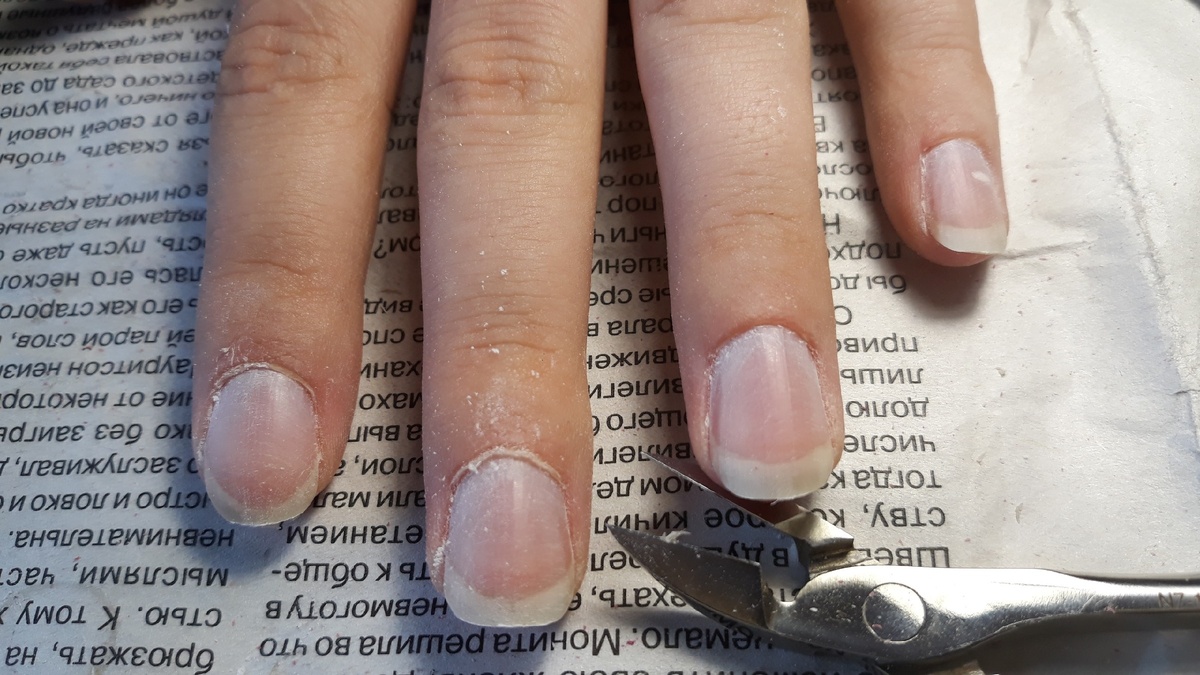 Подготовленная кутикула для среза