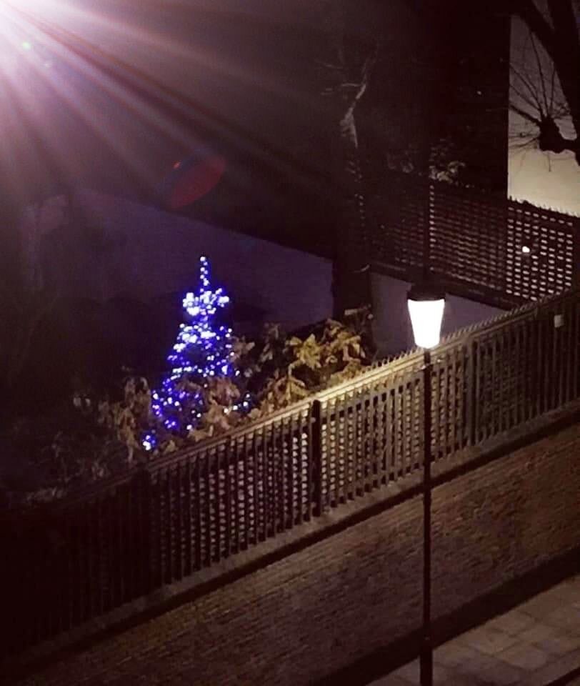 Гарден Лодж  Рождество 2020