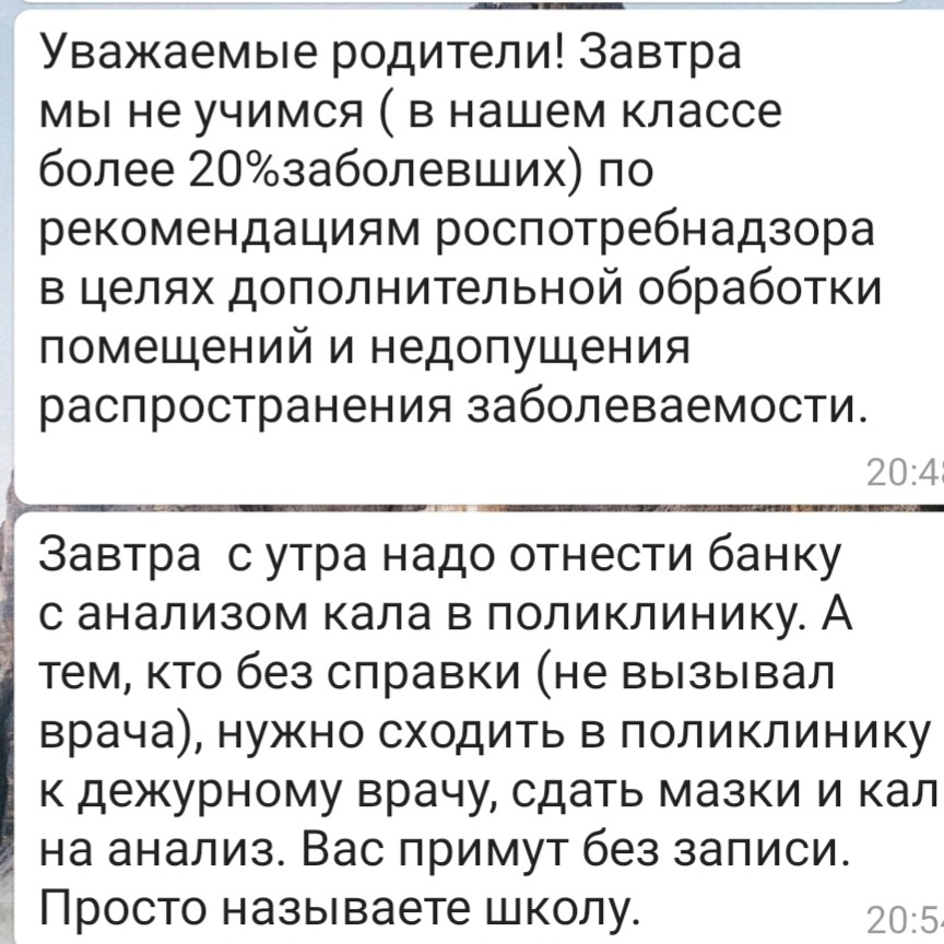 Скрин школьного чата