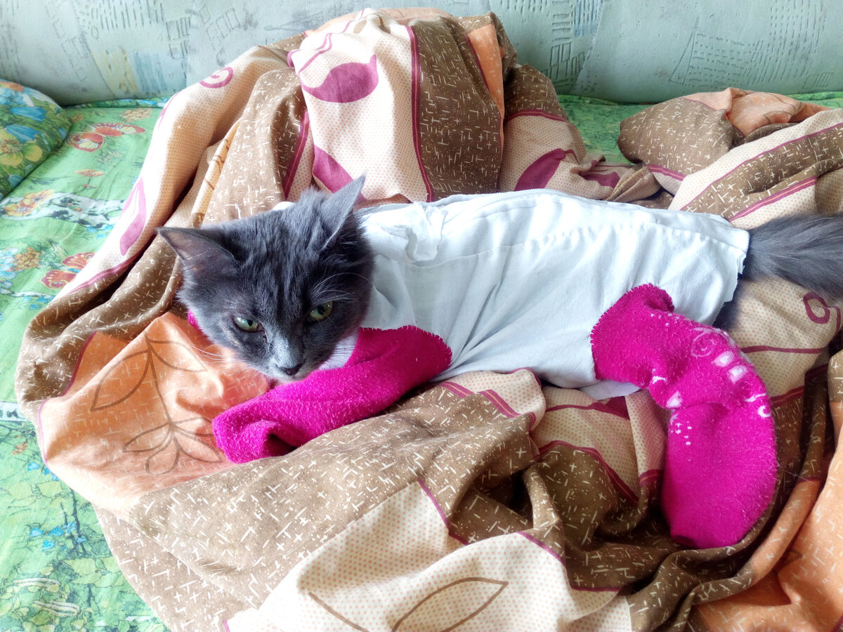 Недовольная Снежка