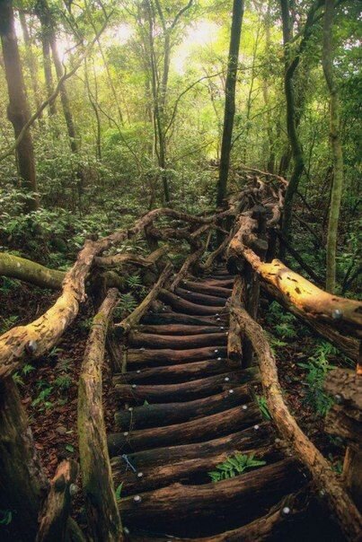 pinterest.ru