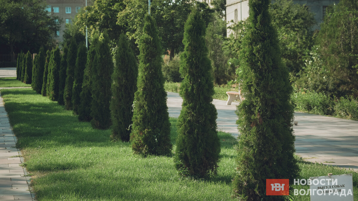 Парк им. Юрия Гагарина в Волгограде, фото: novostivolgograda.ru