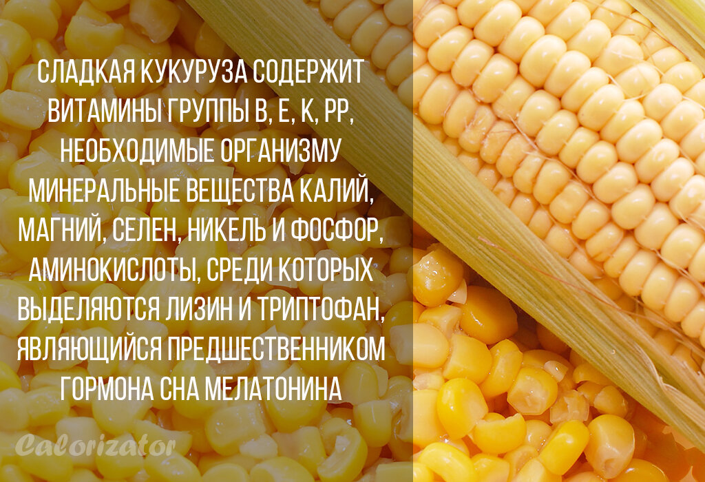 Что полезного в кукурузе. Кукуруза польза. Кукуруза углеводы. Полезные свойства кукурузы.