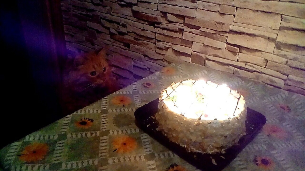 День рождения Басеньки 25 октября. 