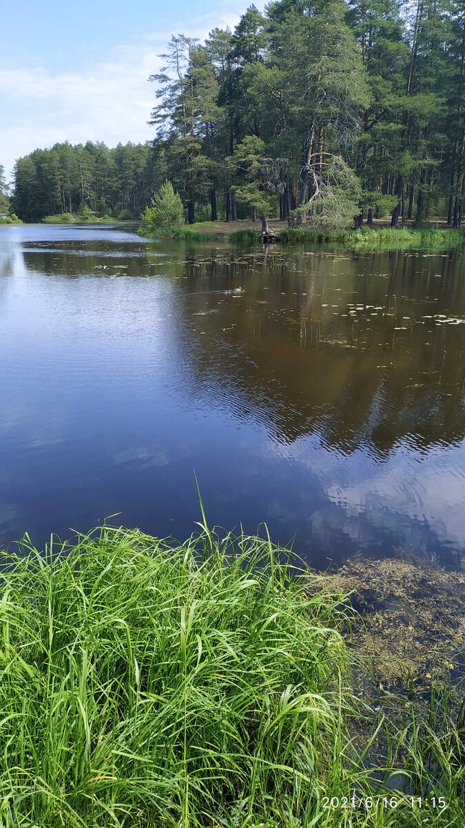 Выплыв к руслу начали рыбачить