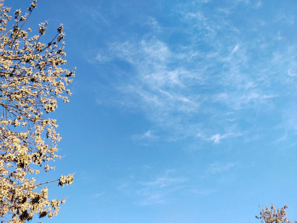 Небо над головой прояснилось. Фото автора канала