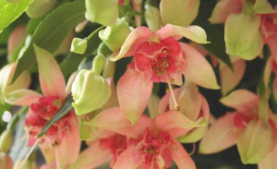 Фото из открытых источников.