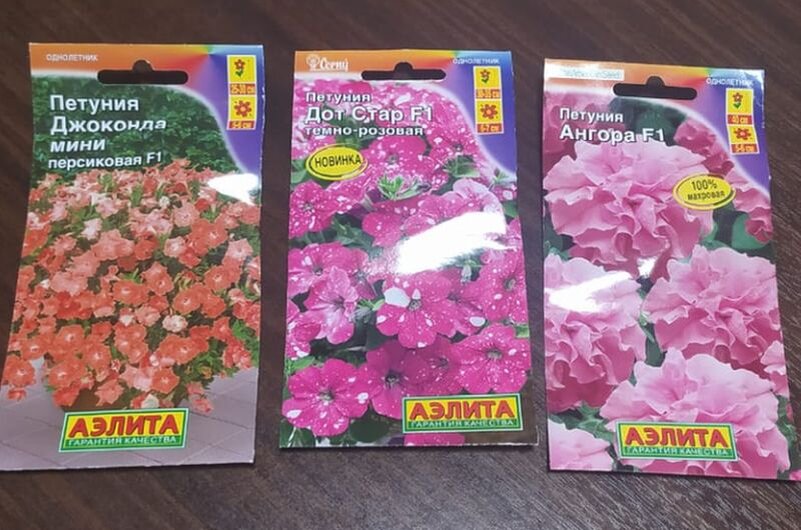 Разные сорта петунии для посева на рассаду.