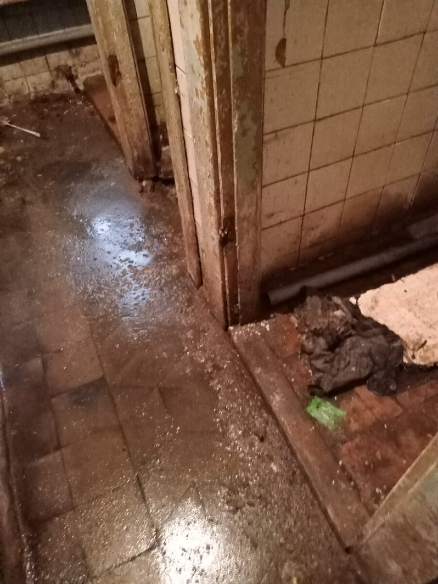 Так люди живут... И не где-нибудь в Африке, а относительно недалеко от центра Твери