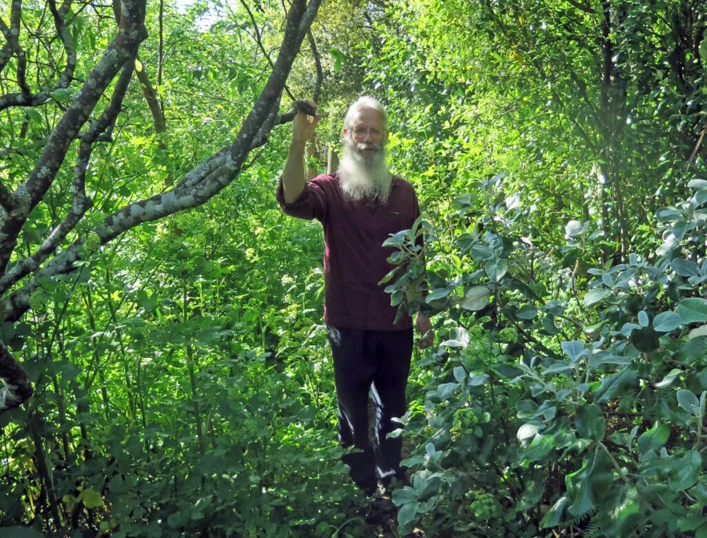 Лесной мужик