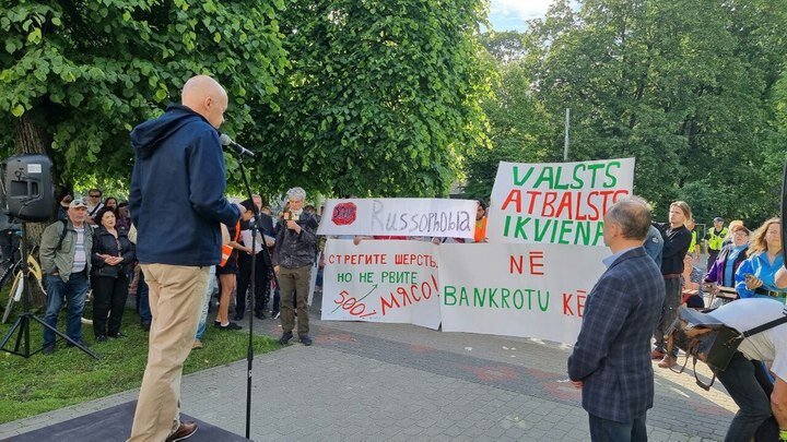 Выступает в защиту. Митинг против власти. Митинг с плакатами. Митинг котов. Человек с плакатом.