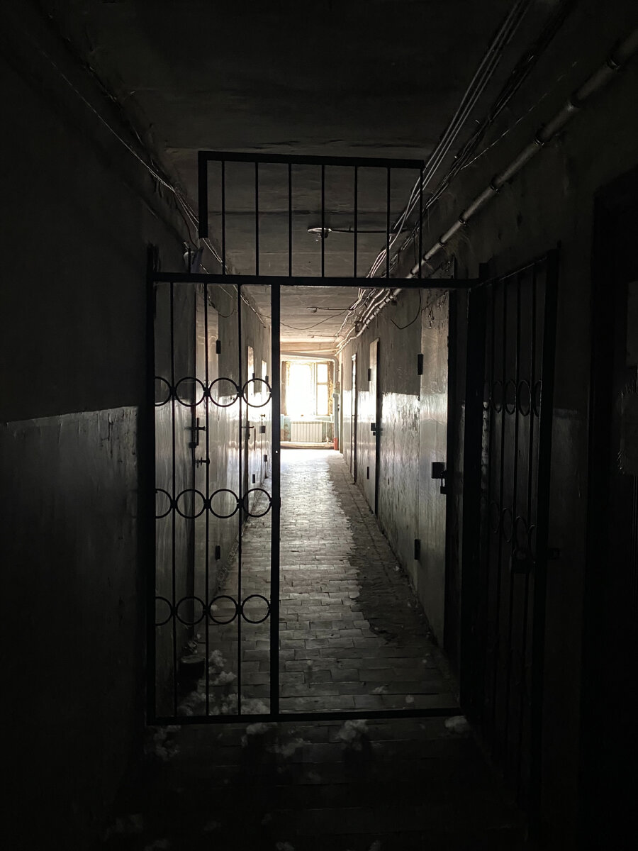 Фото автора. Как тебе такое, Марти Макфлай? 