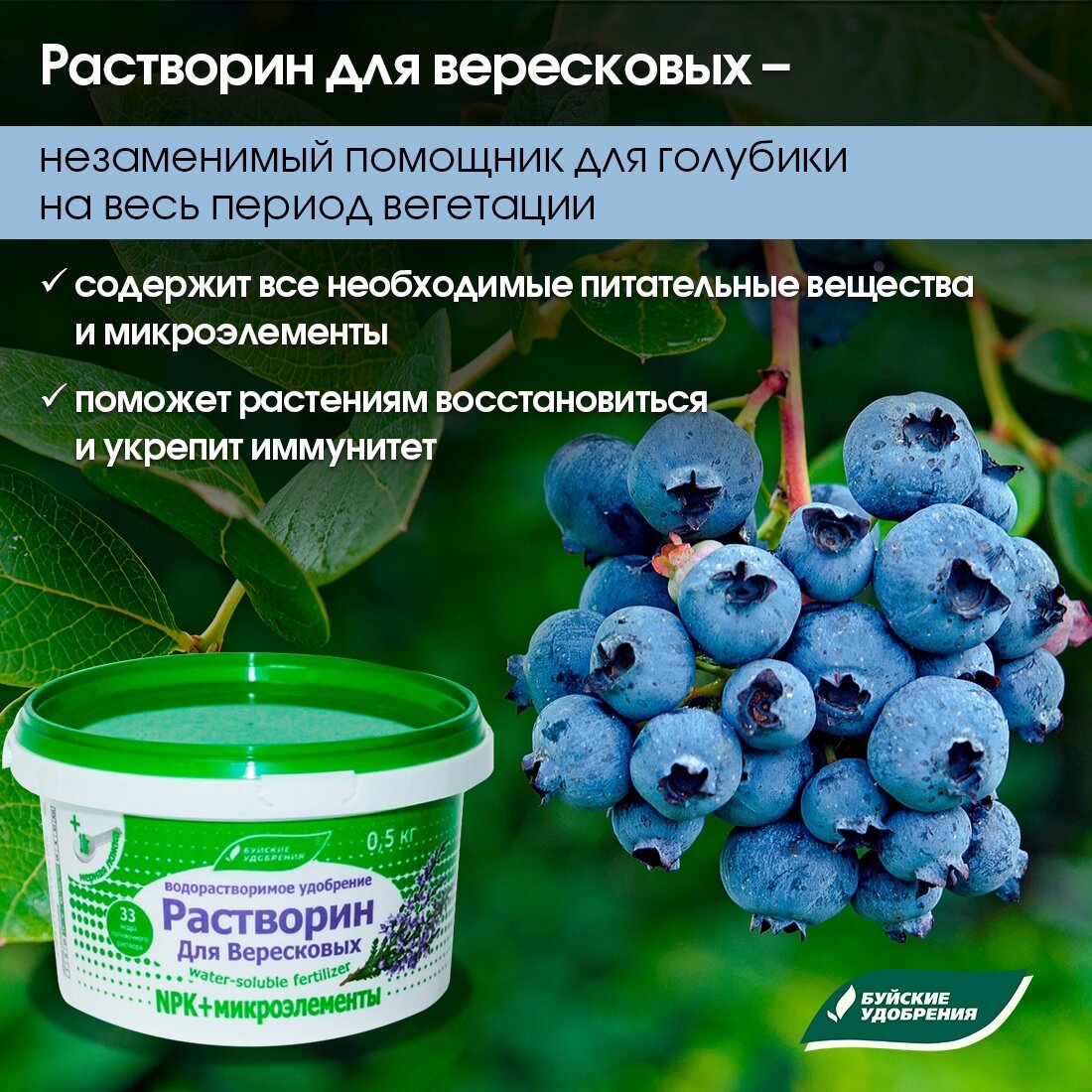 Голубика удобрение весной. Удобрение для голубики. Жидкое удобрение для голубики. Голубика микроэлементы. Таблица подкормок голубики.
