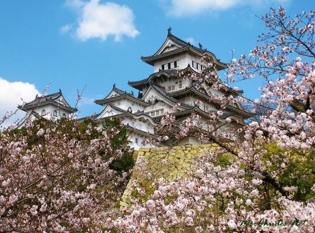 Храм Химэдзи в Японии