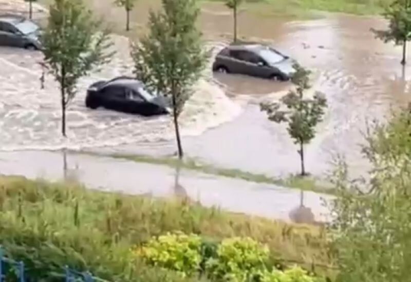 Порно видео огромные члены в узкие дырочки