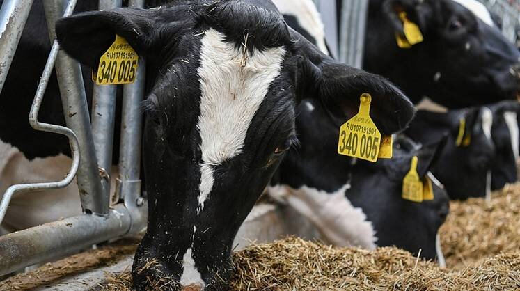    Пресс-служба правительства Тверской области