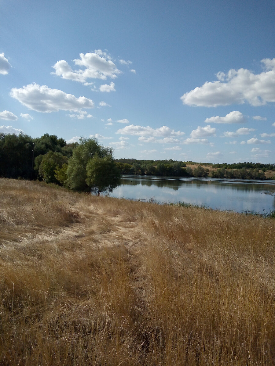 Фото автора. Родная земля.