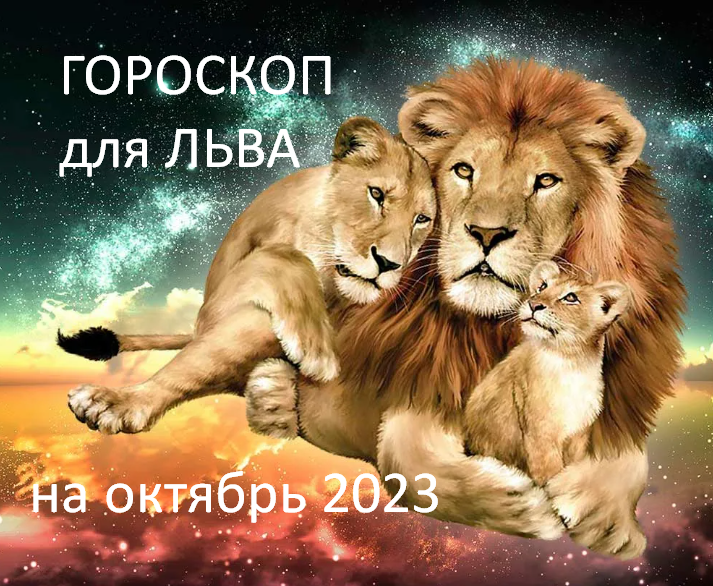 Фото из открытого источника