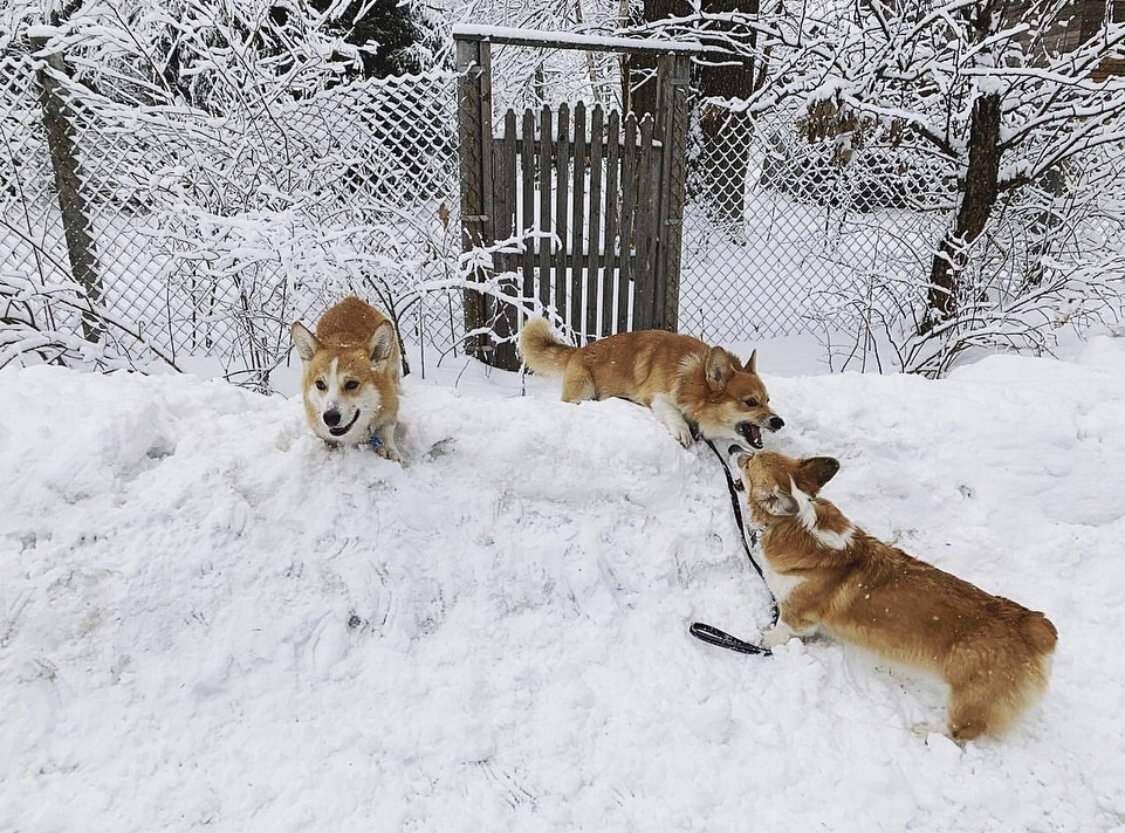 Фото из личного архива