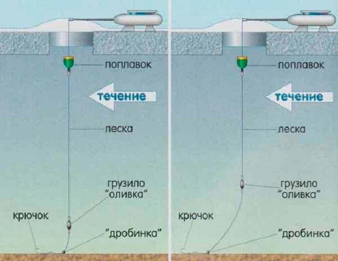 Фото с сайта: https://likewot.ru/wp-content/uploads/e/e/b/eeb118defb8d6b9072f9ac7425106993.jpeg