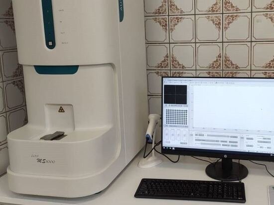     фото: Департамент информационной политики Свердловской области