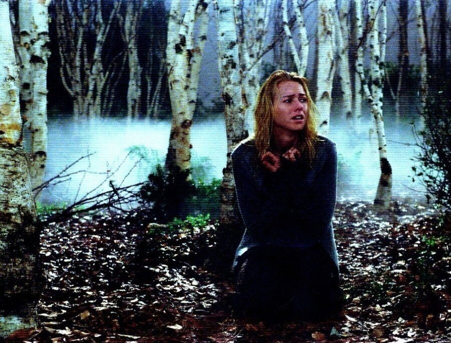 Кадр из фильма "Звонок"