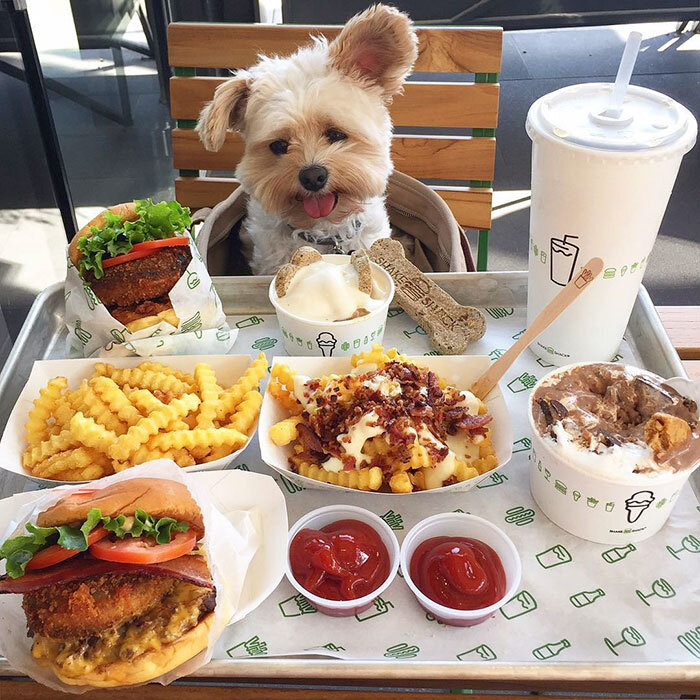 popeyethefoodie/instagram