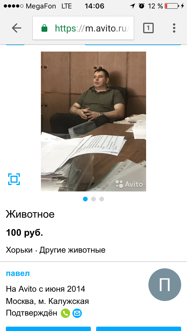 Пин от пользователя Екатерина Степанова на доске ЮМОР Юмор