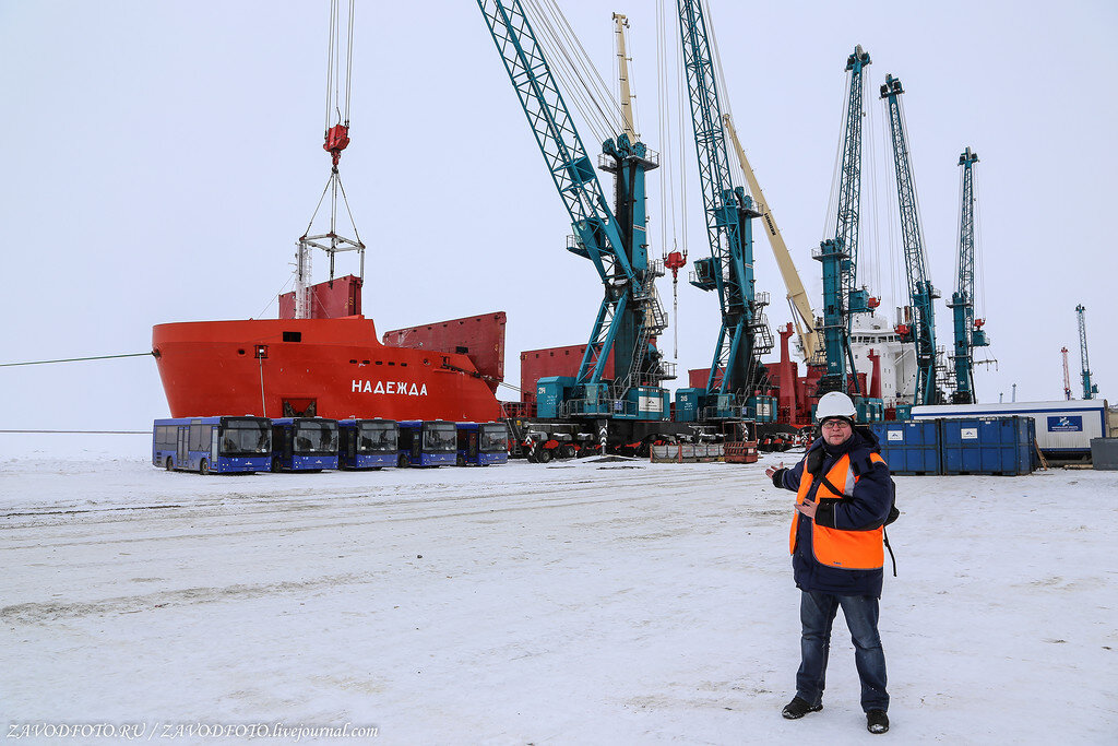 Северный морской порт. Дудинский морской порт. Северный порт Дудинка разгрузка. Северный морской порт России. Самый Северный Международный морской порт в России..