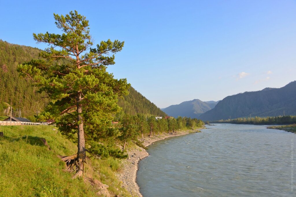 Нижнекаменка алтайский край фото