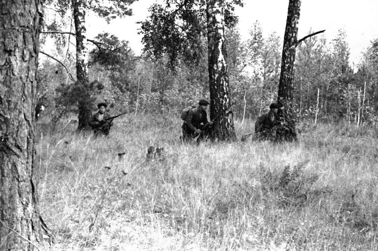 Партизански лес. Партизанский лес Брянск ВОВ. Лагерь Партизан Великой Отечественной войны. Партизаны Белоруссии 1941.