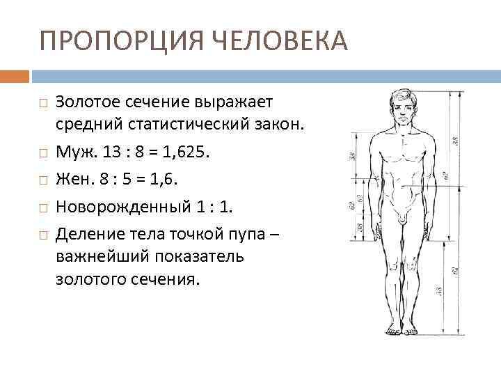 Соответствие размеров мебели среднему росту и пропорциям человека относится к