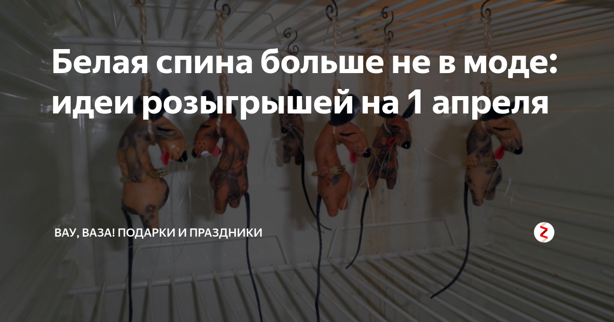 Спина белая в чем прикол 1 апреля. У тебя вся спина белая с 1 апреля. А У вас спина белая картинки с 1 апреля. У вас спина белая откуда шутка. У вас спина белая