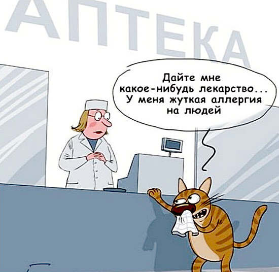 Источник: allergozona.ru