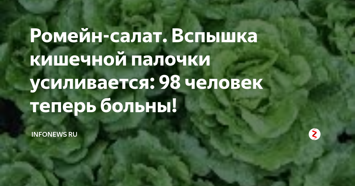 Отравление салатом вкусвилл