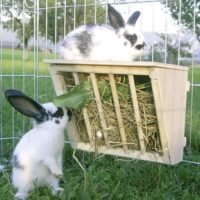 Бункерные кормушки для кроликов из пластиковых канализационных труб