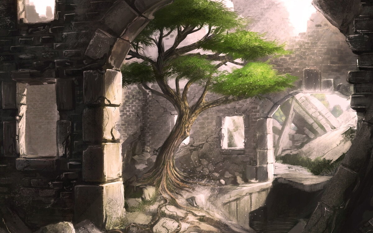 ДВА ДЕРЕВА | ПУТЬ ИСТИННОЙ ЛЮБВИ | Дзен