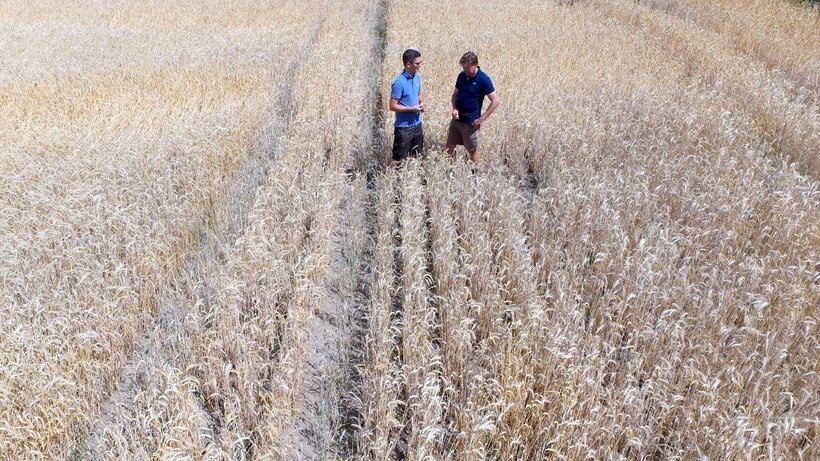 © Carsten Rehder/dpa