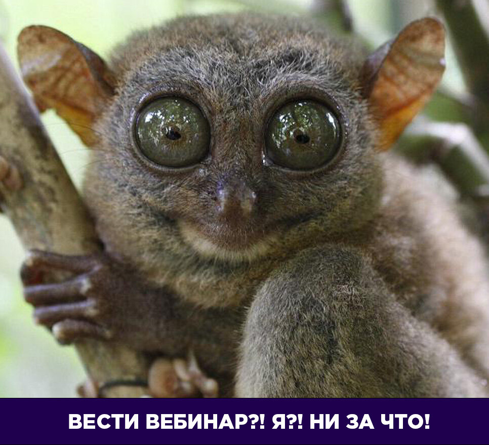 
Что делать?
Пользуйтесь методом Антона Ельницкого!