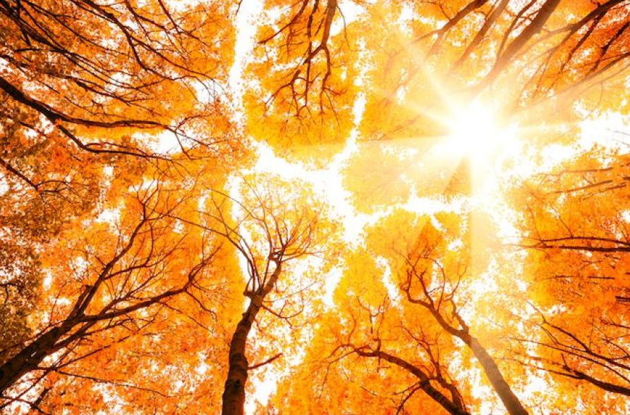 осень дождь. природа закат. сентябрь солнце и ветра. осеннее утро. осеннее солнце.