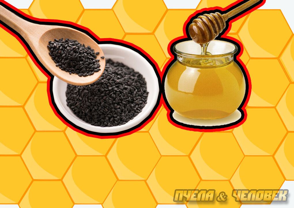 Мед масло тмина. Черный тмин с медом. Мёд с семенами тмина. Тминное масло с медом. Мед с семян черного тмина.