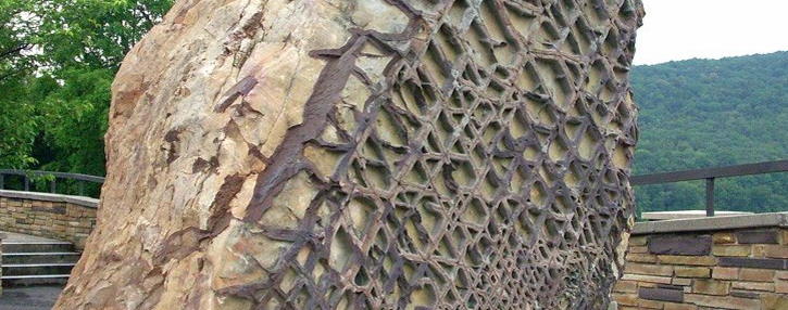 Фото взято из яндекс картинок.