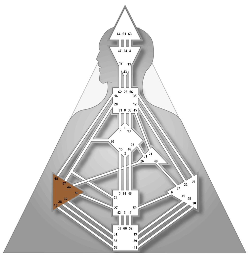 Эго центральный. Центр эго бодиграф. Аджна центр. Эго центр в дизайне человека. Human Design бодиграф.
