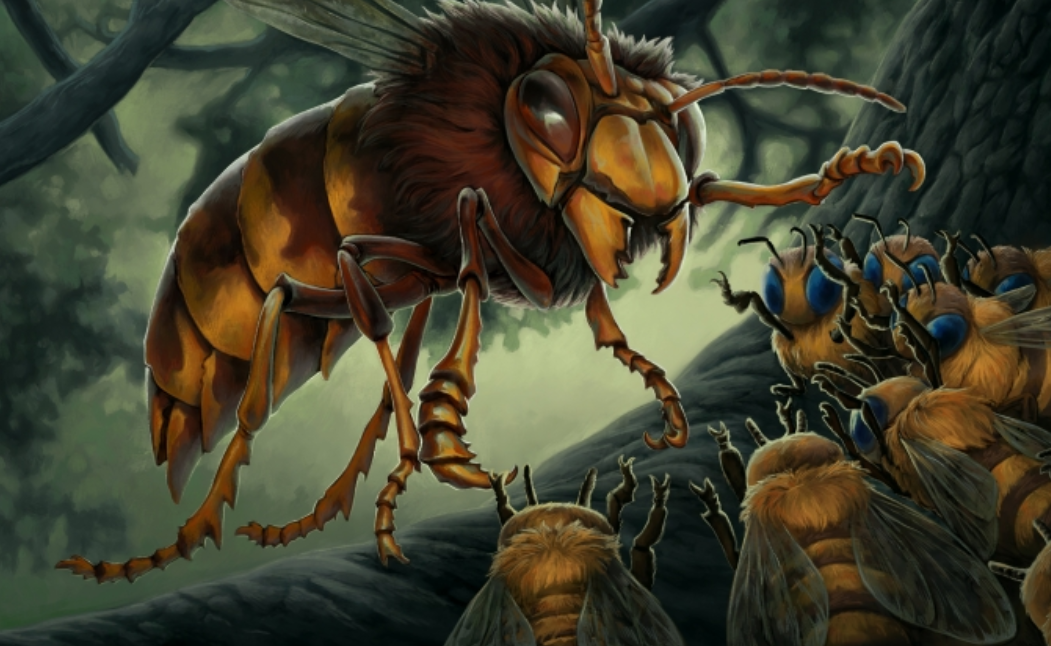 Пчеломатка с семьёй