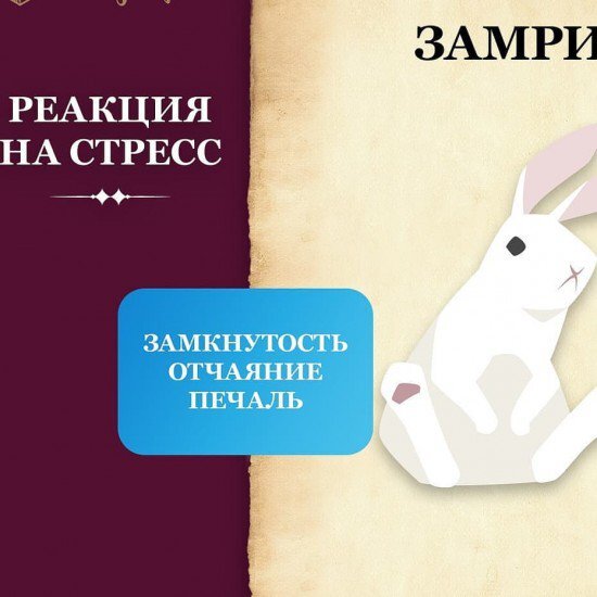 Реакция замри во время стресса. Бей беги замри психология реакции на стресс. Бей или беги психология. Бей или беги рептильный мозг. Бей беги замри психология реакции на стресс.